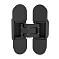 Петля скрытой установки U3D2002.TG BL черный TECH